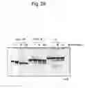 Fig. 27 - STABILIZATION METHOD OF FUNCTIONAL NUCLEIC ACID