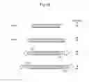 Fig. 29 - STABILIZATION METHOD OF FUNCTIONAL NUCLEIC ACID