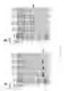 Fig. 14 - Independently Inducible System of Gene Expression