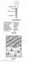 Fig. 04 - Body fluid sampling/fluid delivery device