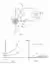 Fig. 02 - METHOD FOR THE BACTERIOLOGICAL INVESTIGATION OF A BIOLOGICAL SAMPLE AND RELATIVE DEVICE