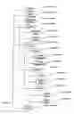 Fig. 08 - Structured web advertising