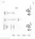 Fig. 02 - Using AMQP for replication