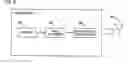 Fig. 01 - Family of LDPC codes for video broadcasting applications