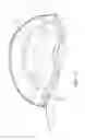 Fig. 15 - Protective headgear