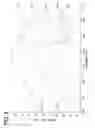 Fig. 08 - Adsorption agent for noble metal, method for manufacturing the same, and method for recovering noble metal