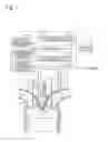 Fig. 02 - Control method of precombustion chamber type engine