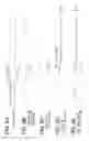 Fig. 08 - Fuel-pressure waveform detector