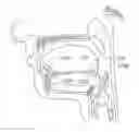 Fig. 01 - Systems and methods for treatment of sleep apnea
