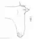 Fig. 02 - Apparatus and Method for Treating Foot Tissue