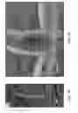 Fig. 05 - Apparatus and methods for solar energy conversion using nanoscale cometal structures