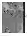 Fig. 08 - Process for using catalyst with rapid formation of iron sulfide in slurry hydrocracking