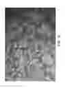 Fig. 13 - Process for using catalyst with rapid formation of iron sulfide in slurry hydrocracking