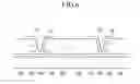 Fig. 07 - Display panel and liquid crystal display including the same