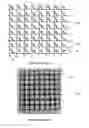 Fig. 02 - Method for manufacturing a monolithic LED micro-display on an active matrix panel using flip-chip technology and display apparatus having the monolithic LED micro-display