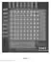Fig. 09 - Method for manufacturing a monolithic LED micro-display on an active matrix panel using flip-chip technology and display apparatus having the monolithic LED micro-display