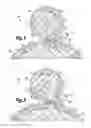 Fig. 02 - Motor for selective interaction of the magnetic fields of permanent magnets