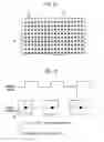 Fig. 14 - Image formation apparatus utilizing a transfer belt