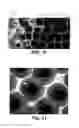 Fig. 07 - SYSTEM AND METHOD EMPLOYING SECONDARY BACK EXPOSURE OF FLEXOGRAPHIC PLATE