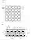Fig. 02 - Electronic paper display device and method for manufacturing the same