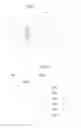 Fig. 07 - Method and apparatus for reducing interference in a mobile communications network