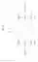 Fig. 09 - Effective method of handover in wideband radio access system