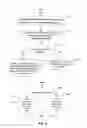 Fig. 05 - Method for implementing unstructured supplementary service data service