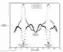 Fig. 01 - Measuring intramuscular fat