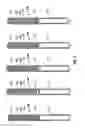 Fig. 05 - Methods and apparatus for freight container loading