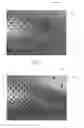 Fig. 09 - HIGH ROLL DENSITY FIBROUS STRUCTURES