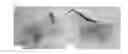 Fig. 01 - Method for manufacturing graphene
