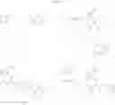 Fig. 19 - Alkaloid aminoester derivatives and medicinal composition thereof