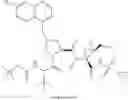 Fig. 683 - Hepatitis C virus inhibitors