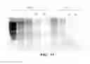 Fig. 09 - Compositions and methods for prion decontamination