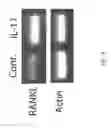 Fig. 09 - Methods of treatment of bone degenerative diseases