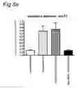 Fig. 07 - DELIVERY OF A CD40 AGONIST TO A TUMOR DRAINING LYMPH NODE OF A SUBJECT