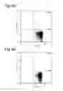 Fig. 09 - DELIVERY OF A CD40 AGONIST TO A TUMOR DRAINING LYMPH NODE OF A SUBJECT