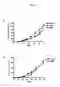 Fig. 06 - NOTCH1 receptor antibodies and methods of treatment