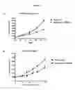 Fig. 07 - NOTCH1 receptor antibodies and methods of treatment