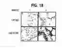 Fig. 03 - Methods and compositions relating to CCR5 antagonist, IFN-γ and IL-13 induced inflammation