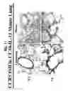 Fig. 22 - Methods and compositions relating to CCR5 antagonist, IFN-γ and IL-13 induced inflammation