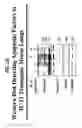 Fig. 32 - Methods and compositions relating to CCR5 antagonist, IFN-γ and IL-13 induced inflammation