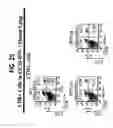Fig. 37 - Methods and compositions relating to CCR5 antagonist, IFN-γ and IL-13 induced inflammation