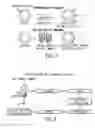 Fig. 03 - Phage constructs, sequences and antigenic compositions for immunocontraception of animals