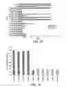 Fig. 08 - Vaccine