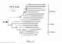 Fig. 02 - Materials and methods for respiratory disease control in canines