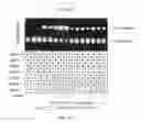 Fig. 02 - Fusogenic virus-like particles and uses thereof
