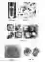 Fig. 03 - Fusogenic virus-like particles and uses thereof