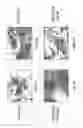 Fig. 05 - Fusogenic virus-like particles and uses thereof