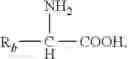 Fig. 26 - Poly(amide) and poly(ester-amide) polymers and drug delivery particles and coatings containing same